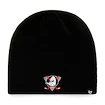 47 Brand Beanie NHL Anaheim Ducks  Téli sapka