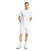 adidas  Club Graphic Short White/Grey  Férfirövidnadrág