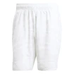 adidas  Club Graphic Short White/Grey  Férfirövidnadrág