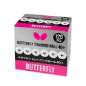 Butterfly  Training Ball 40+ White (120 ks)  Labdák