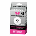 Butterfly  Training Ball 40+ White (6 ks)  Labdák