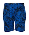 FZ Forza  Luton M Shorts Olympian Blue Férfirövidnadrág