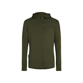 Icebreaker Merino 260 Quantum IV LS Zip Hoodie Loden Férfi-melegítőfelső