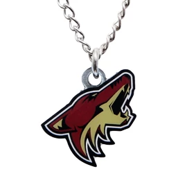 JF Sports Canada NHL Arizona Coyotes Medál