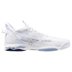 Mizuno  Wave MIRAGE 5 White/Bellwether Blue  Férfiteremcipő