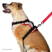 Nathan  K9 Dog Harness Canicross hám