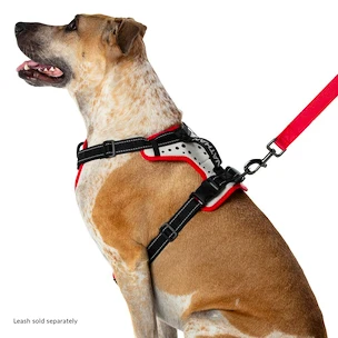 Nathan  K9 Dog Harness Canicross hám