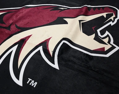 Official Merchandise  NHL Arizona Coyotes Törülköző