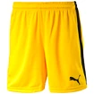 Puma  Pitch Boxeralsók