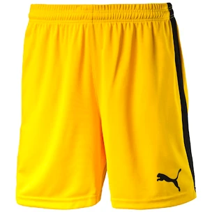 Puma  Pitch Boxeralsók