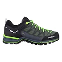 Salewa  MS MTN Trainer Lite Gtx Myrtle/Ombre Blue  Férfi kültéri lábbelik