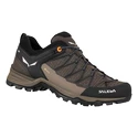 Salewa  MS MTN Trainer Lite Gtx  Wallnut/Fluo Orange  Férfi kültéri lábbelik