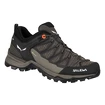 Salewa  WS MTN Trainer Lite GTX  Női kültéri cipők