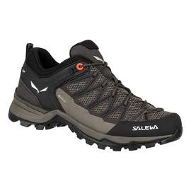 Salewa WS MTN Trainer Lite GTX Női kültéri cipők