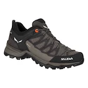 Salewa  WS MTN Trainer Lite GTX  Női kültéri cipők UK 6