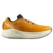 Salomon Aero Glide 3 Turmeric/White/Black   Férfi futócipő UK 10