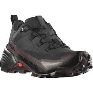 Salomon  CROSS HIKE GTX 2 W  Női kültéri cipők