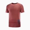 Salomon Cross Run Graphic Tee Cabernet Férfipóló