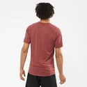 Salomon Cross Run Graphic Tee Cabernet Férfipóló