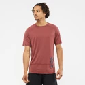 Salomon Cross Run Graphic Tee Cabernet Férfipóló