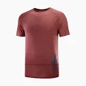 Salomon Cross Run Graphic Tee Cabernet Férfipóló XL