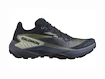 Salomon Genesis W Carbon/Grisaille/Aloe Wash  Női futócipő UK 4,5