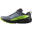 Salomon  GTX Flint/Black/Grgeck  Férfi futócipő