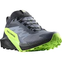 Salomon  GTX Flint/Black/Grgeck  Férfi futócipő