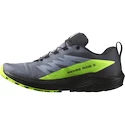 Salomon  GTX Flint/Black/Grgeck  Férfi futócipő