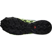 Salomon  GTX Flint/Grgeck/Black  Férfi futócipő