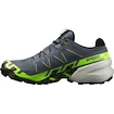 Salomon  GTX Flint/Grgeck/Black  Férfi futócipő