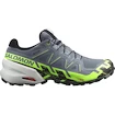 Salomon  GTX Flint/Grgeck/Black  Férfi futócipő