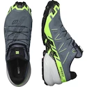 Salomon  GTX Flint/Grgeck/Black  Férfi futócipő