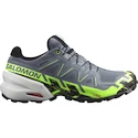 Salomon  GTX Flint/Grgeck/Black  Férfi futócipő