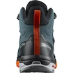 Salomon  MID GTX Stargazer/Black/S  Férficipő