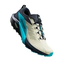 Salomon Sense Ride 5 Alfalfa / Carbon / Peacock Blue  Férfi futócipő