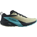 Salomon Sense Ride 5 Alfalfa / Carbon / Peacock Blue  Férfi futócipő