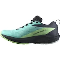 Salomon Sense Ride 5 Gtx Blue Radiance / Green Ash / India Ink  Női futócipő