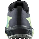 Salomon Sense Ride 5 Gtx Blue Radiance / Green Ash / India Ink  Női futócipő