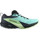 Salomon Sense Ride 5 Gtx Blue Radiance / Green Ash / India Ink  Női futócipő