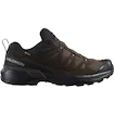 Salomon X Ultra 360 Leather Gore-Tex Dark Earth/Delicioso/Sharkskin  Férfi kültéri lábbelik UK 8,5