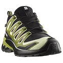 Salomon Xa Pro 3D V9 GTX Black/Lime Cream/Dark Citron  Férfi futócipő