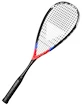 Tecnifibre Carboflex X-Speed   Squash-ütő