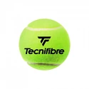 Tecnifibre  Club (4 Pack)  Teniszlabdák