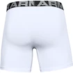 Under Armour  Charged Cotton 6" 3 Pack white Dynamic Férfiboxeralsó