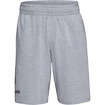 Under Armour  COTTON BIG LOGO SHORTS gray Férfirövidnadrág