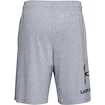 Under Armour  COTTON BIG LOGO SHORTS gray Férfirövidnadrág