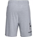 Under Armour  COTTON BIG LOGO SHORTS gray Férfirövidnadrág