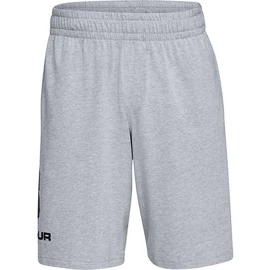 Under Armour COTTON BIG LOGO SHORTS gray Férfirövidnadrág