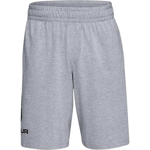 Under Armour  COTTON BIG LOGO SHORTS gray Férfirövidnadrág XXL